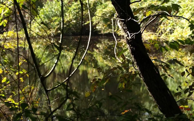 Our Private Paradise