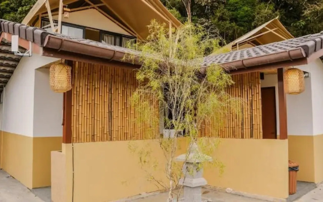 Zen By Stellar Cameron