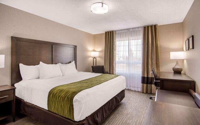 Comfort Inn & Suites Red Deer