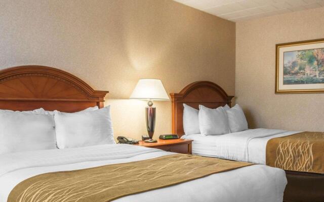 Comfort Inn & Suites