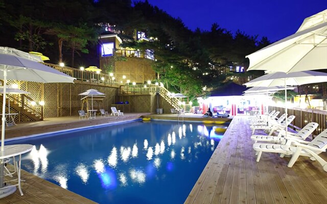 Hoengseong Forest Lover's Star Pension