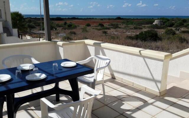 I tulipani di Torre Pali