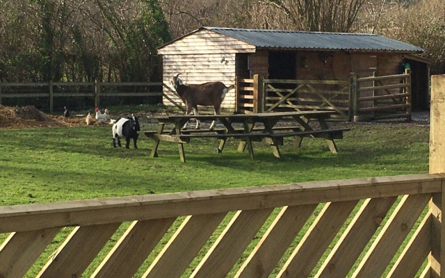 The Hut at Dinnington
