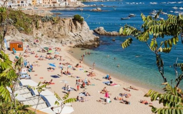 104684 - Apartment in Palafrugell