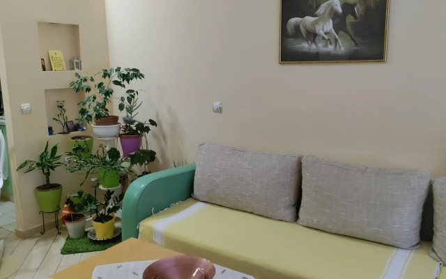 Central apartment