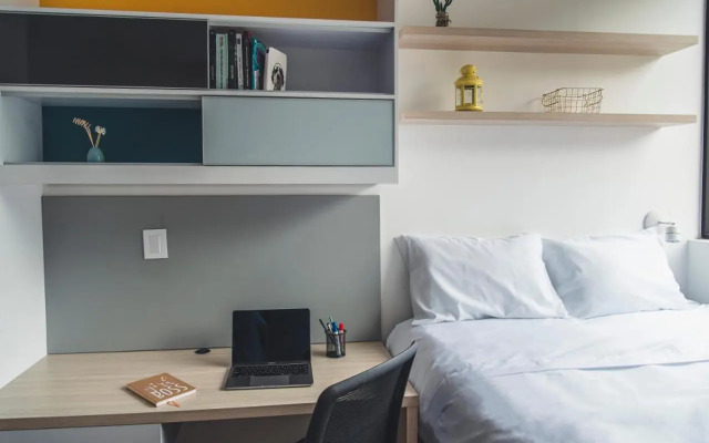 Spotty Bogota Centro