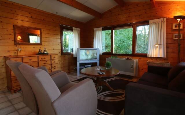 Chalet in Ootmarsum With Garden