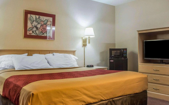 Econo Lodge Dewitt I-90