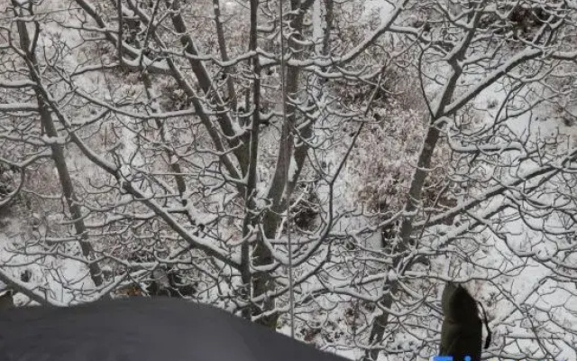 Walnut Tree Soup Spring Homestay