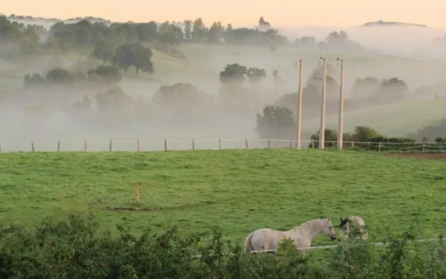 Gîte- Le Temps du Bonheur