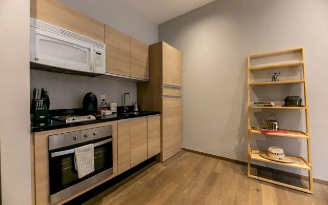 Amazing Luxury 2BR Apt. in Polanco