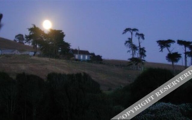 Point Reyes Vineyard Inn