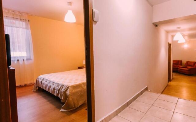 Spacious Apartment near Peles