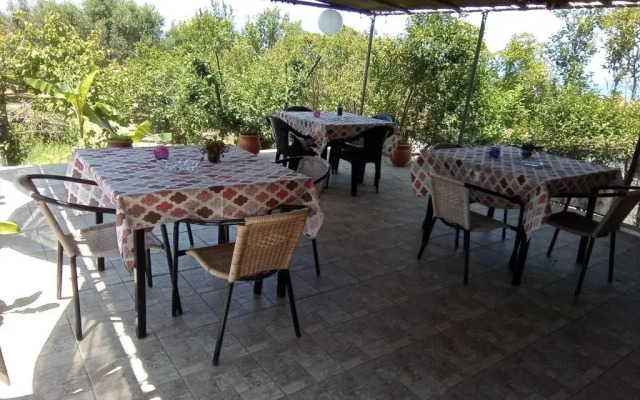 Panorama Rooms