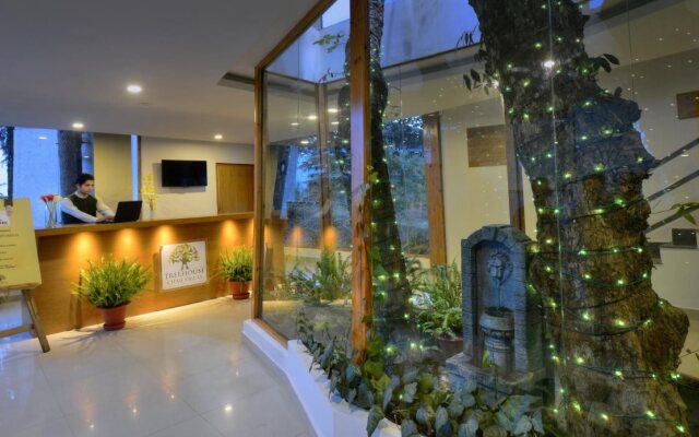 TreeHouse Chail Villas