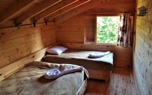Tanevit Dag Evi