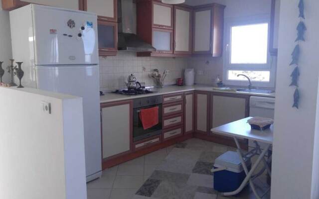 BO079 by Villaofsummer