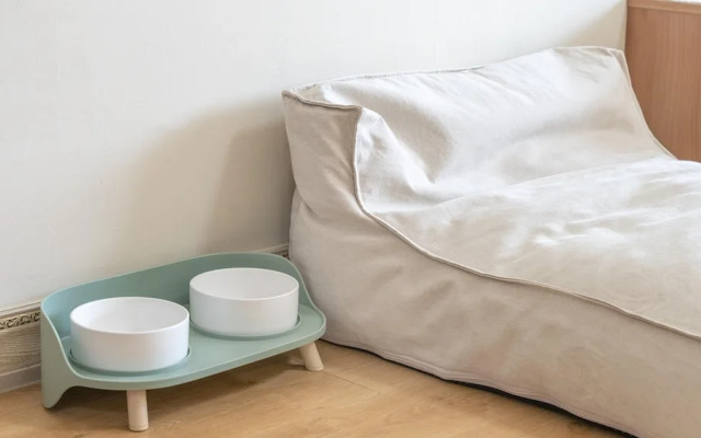 Yeosu Canada meo Village pet Pension