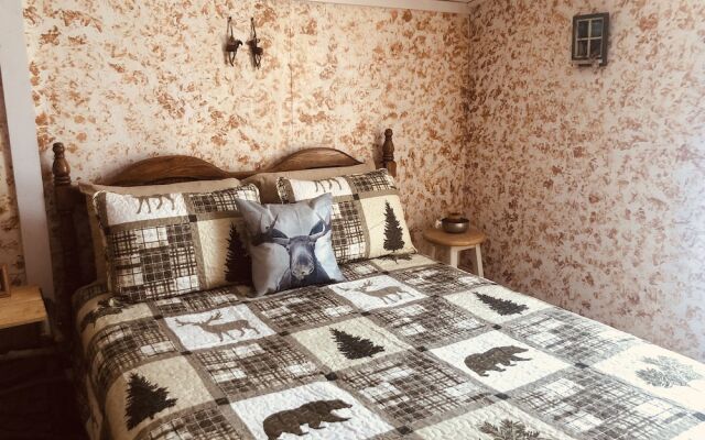 Wrangell Mountain Lodge