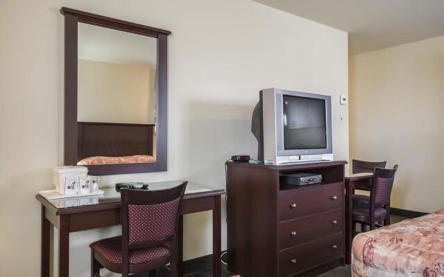 Repotel Levis