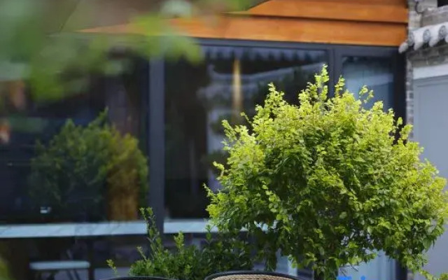 An Yin Hot Spring Resort