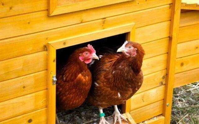 Capland Farm Bed and Breakfast