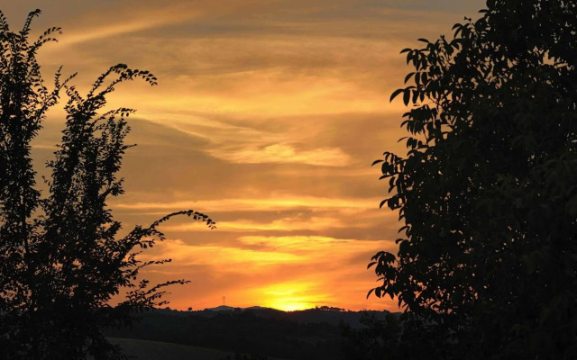 Tenuta Marchesi Fezia