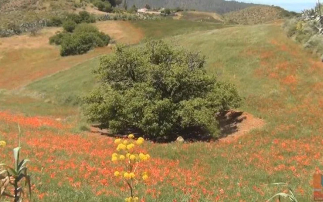 La Posada De Juncalillo