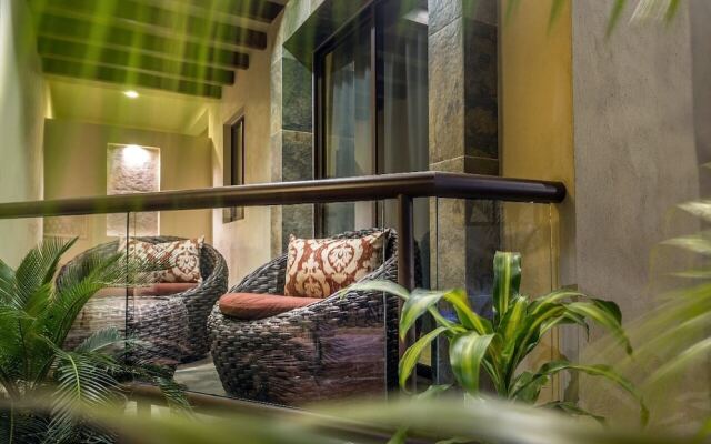 Macondo Raíz Holbox