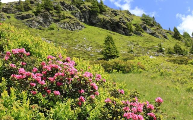 Spacious Apartment in Katschberg