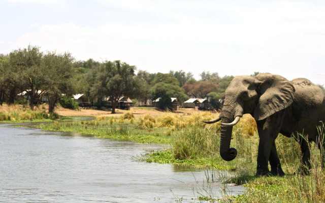 Anabezi Camp