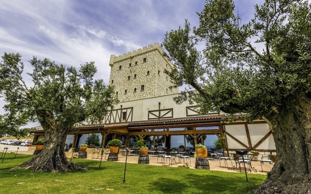 Chateau Pago De Cirsus