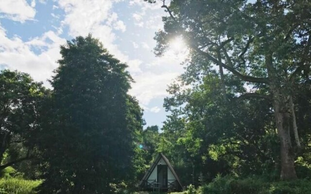 The Forest Cabin Taiping