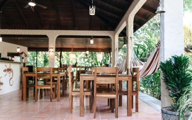 Star Mountain Jungle Lodge