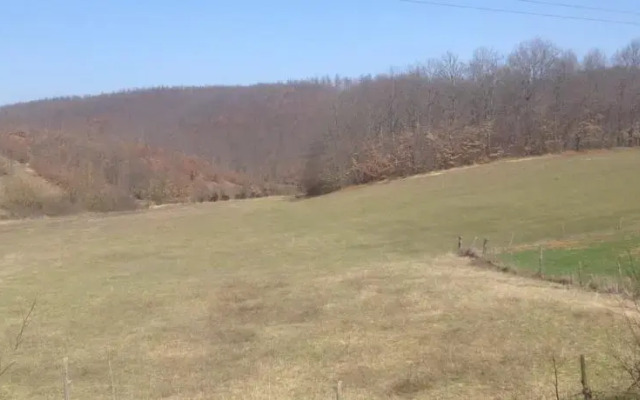 Passeggiate nel Verde Estremo