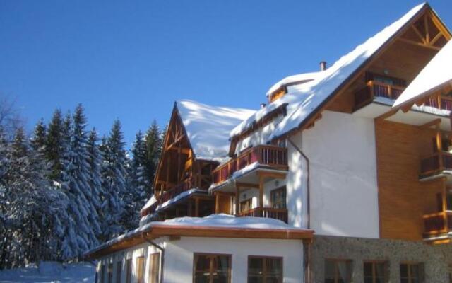 Apartment Bolfenk Pohorje
