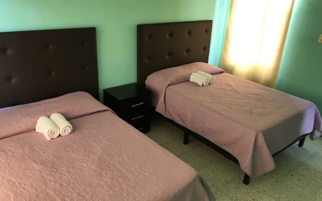 OliLer s House&Garden Zona Centro