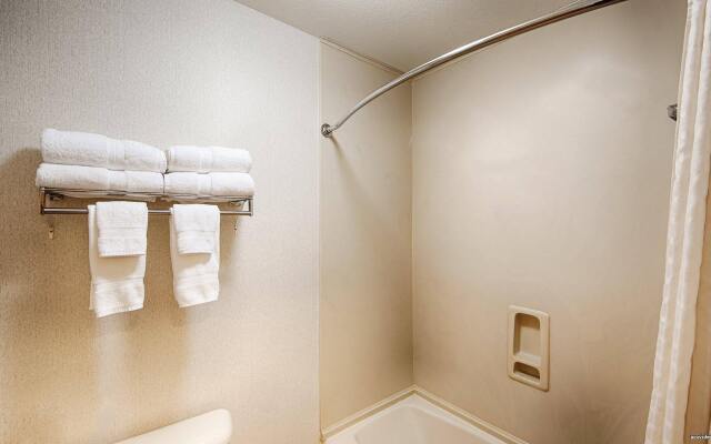 Best Western Dallas Inn & Suites