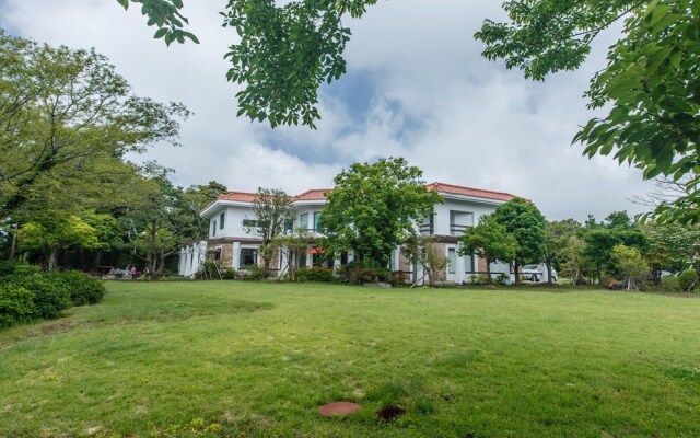 Saryuni Healing Pension