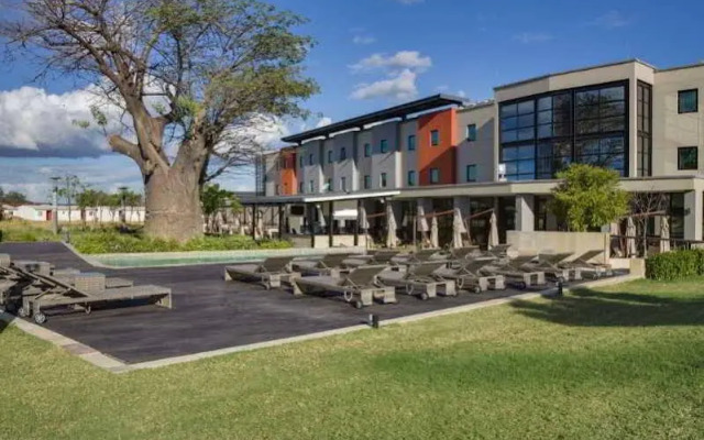 The VIP Executive Baobab