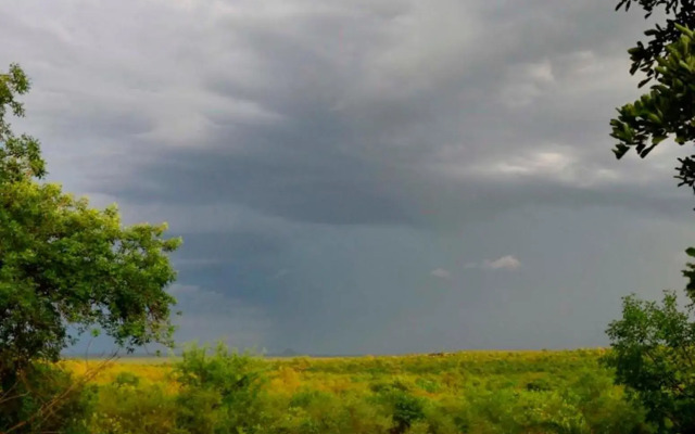 Tingala Lodge