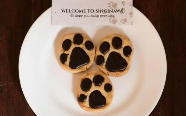 Singinawa Jungle Lodge Kanha