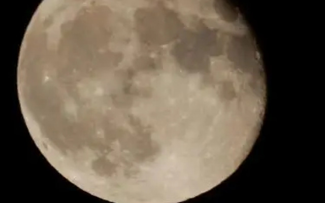 The Farm Snead Bed & Breakfast