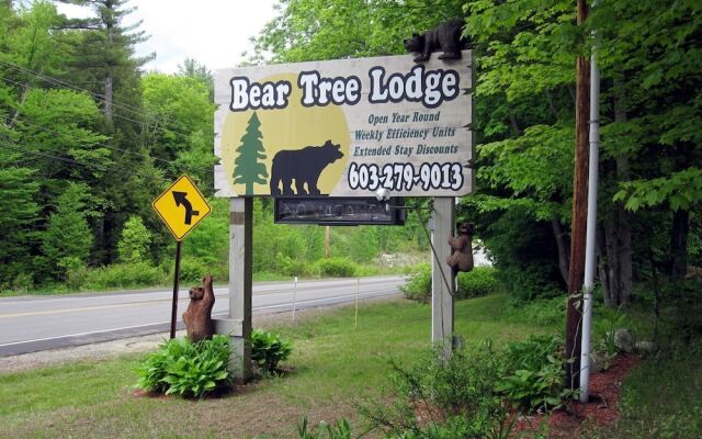 Bear Tree Lodge