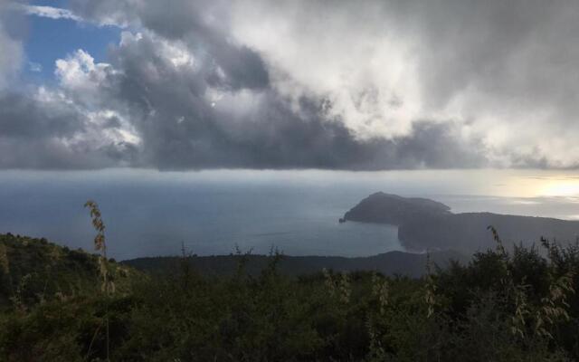 Appartamenti Camerota