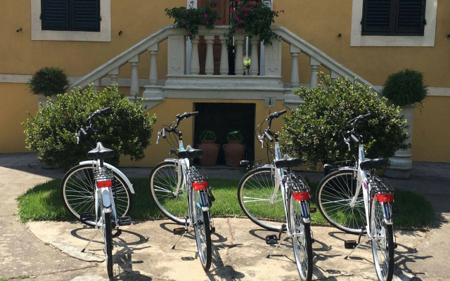 Lucca in Villa San Donato