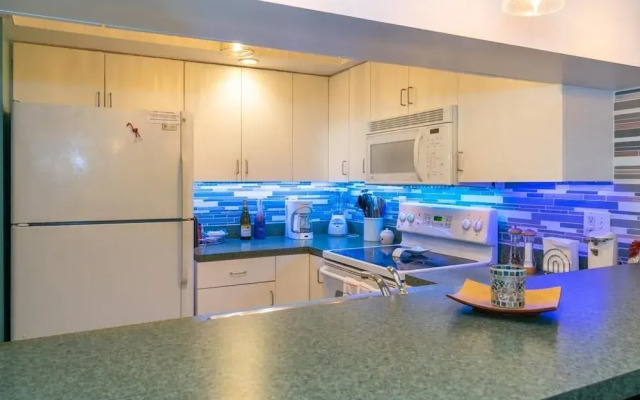 Bridgeport Condo 209
