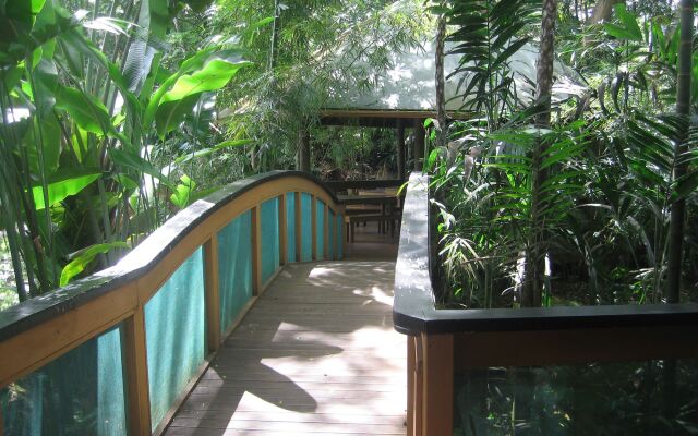 Rainforest Eco Lodge