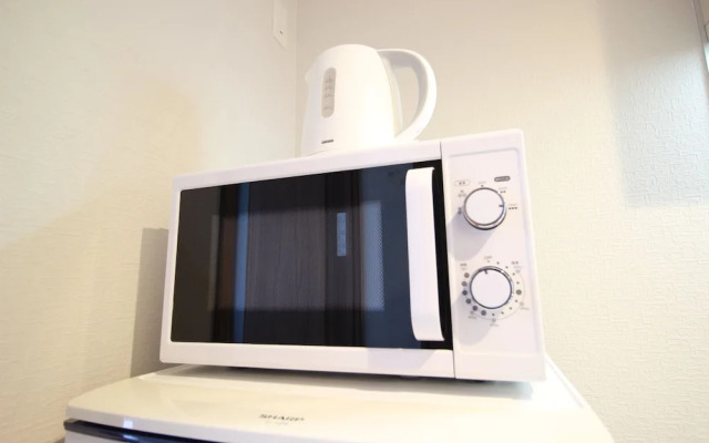 Saint Paulia Osaka Castle