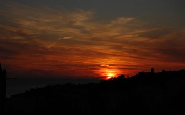 Marti - Free Parking and Grill - A3 - Sunce